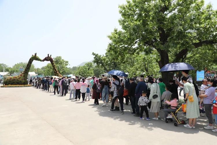 西安秦岭野生动物园附近哪家农家乐、垂钓园饭菜好吃卫生服务好?(子午收费站东)-图2 西安秦岭野生动物园附近哪家农家乐、垂钓园饭菜好吃卫生服务好?(子午收费站东)-图2
