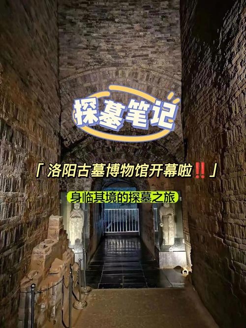 古墓博物馆不预约能进去吗?(洛阳市古墓博物收费吗)-图3 古墓博物馆不预约能进去吗?(洛阳市古墓博物收费吗)-图3