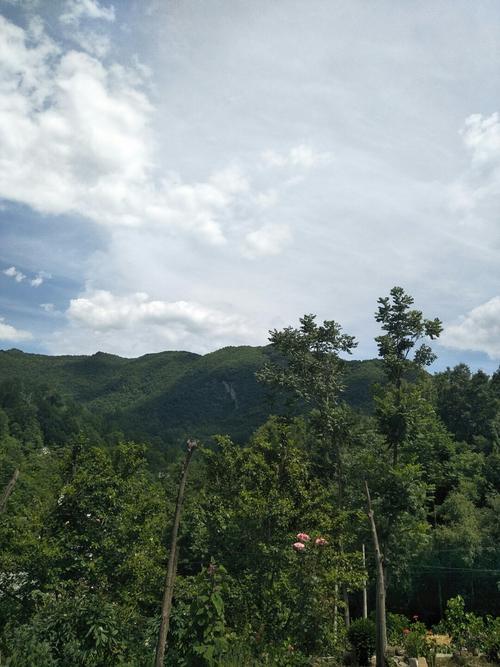 陕西省商洛市商州区到镇安县有多远?(西安到镇安高速收费多少公里)-图2 陕西省商洛市商州区到镇安县有多远?(西安到镇安高速收费多少公里)-图2