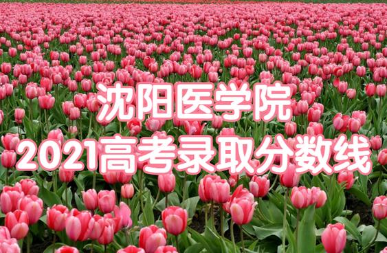 辽宁高考326分能上什么大学?(沈阳326收费)-图3 辽宁高考326分能上什么大学?(沈阳326收费)-图3
