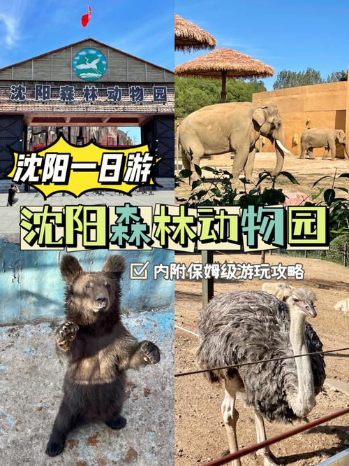 沈阳森林动物园门票截图好使吗?(沈阳国家森林公园收费吗)-图2 沈阳森林动物园门票截图好使吗?(沈阳国家森林公园收费吗)-图2