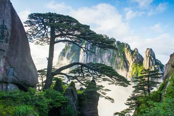 黄山三棵树景区需要门票吗？(黄山市旅游景点怎么收费)