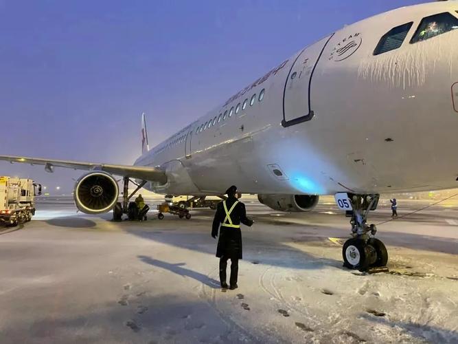 降号停飞啥意思？(飞机大雪停飞改签收费吗)