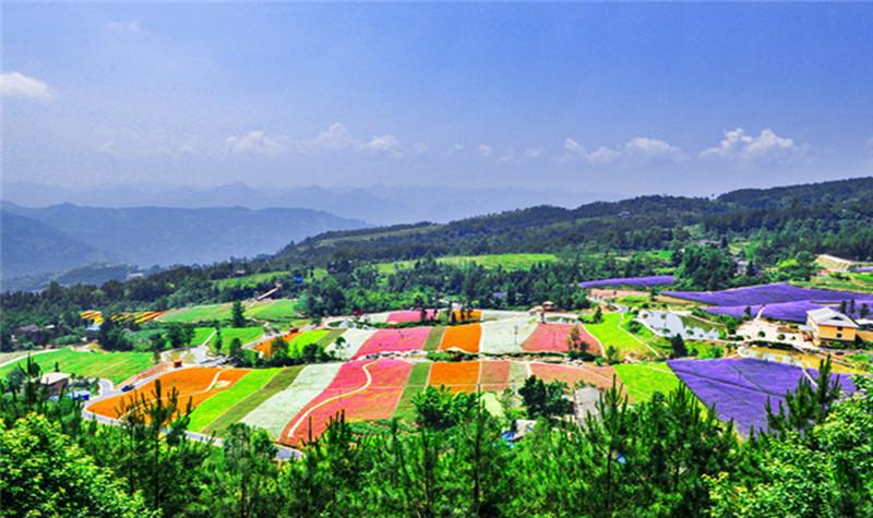 万州凤凰花果山门票？(三峡坝区景点旅游怎么收费)