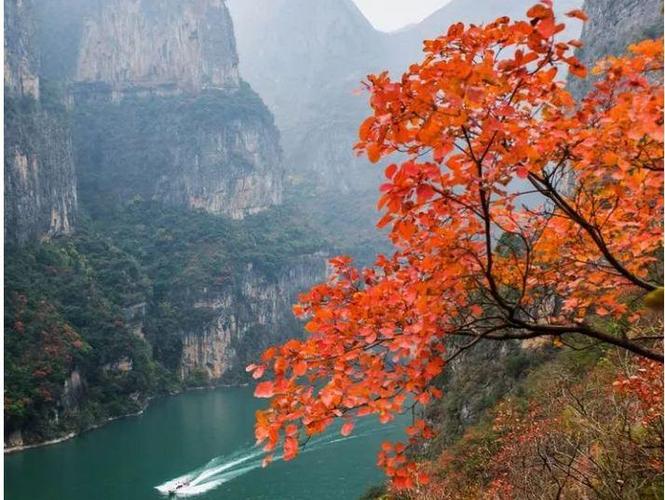 万州凤凰花果山门票？(三峡坝区景点旅游怎么收费)-图3