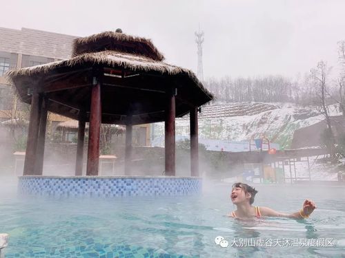 大别山有哪些旅游景点?(六安虚谷温泉收费)-图2 大别山有哪些旅游景点?(六安虚谷温泉收费)-图2