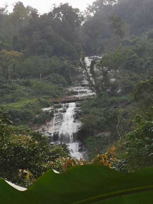 琼中百花岭和黎母山门票多少？(琼中百花岭瀑布收费吗)