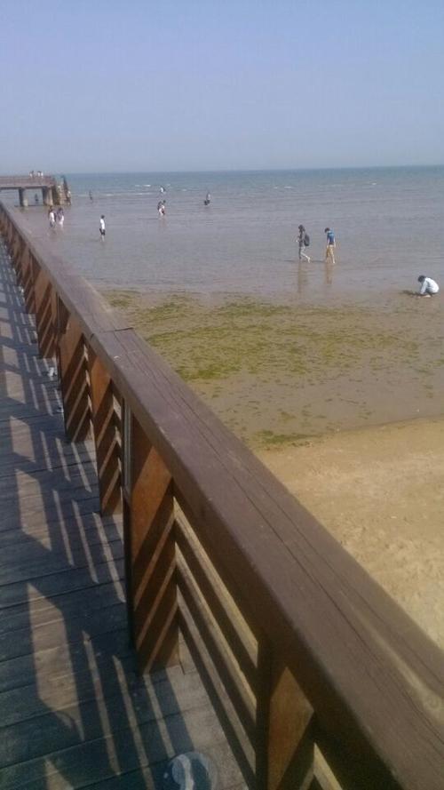 浅水湾浴场属于哪个区?(秦皇岛东海水浴场收费)-图3 浅水湾浴场属于哪个区?(秦皇岛东海水浴场收费)-图3