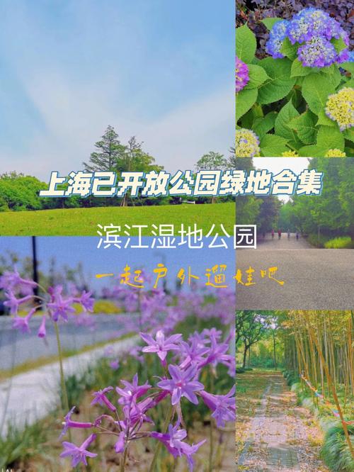 上海宝山湿地公园 需要买门票吗?(日本公园怎么收费的)-图3 上海宝山湿地公园 需要买门票吗?(日本公园怎么收费的)-图3