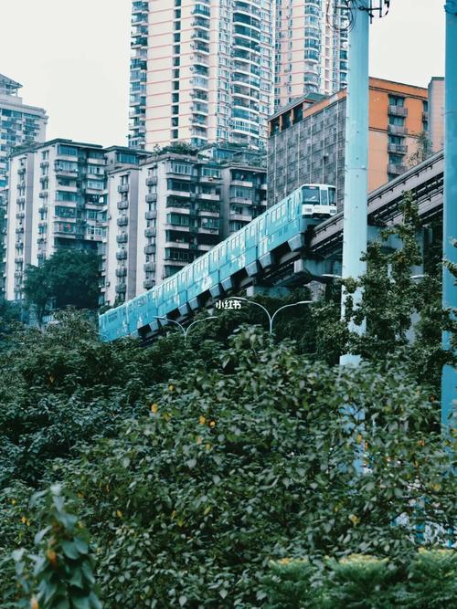 重庆李子坝怎么去？(重庆119路收费)