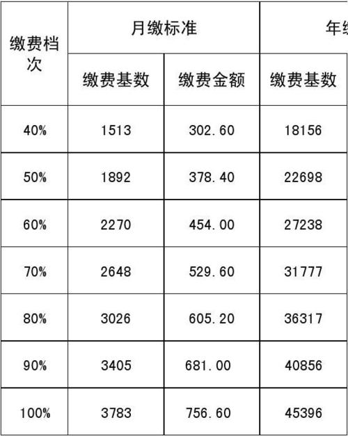 重庆社保个人缴费标准?(8月去重庆怎样收费标准)-图2 重庆社保个人缴费标准?(8月去重庆怎样收费标准)-图2