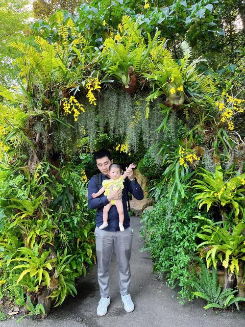 香港遛娃必去十大景点?(香港植物园收费吗)-图3 香港遛娃必去十大景点?(香港植物园收费吗)-图3