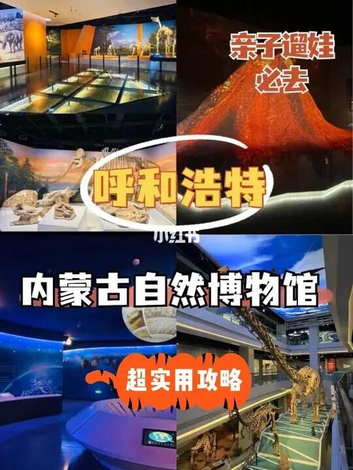 呼和浩特市自然博物馆怎么买票?(呼和浩特博物院收费)-图3 呼和浩特市自然博物馆怎么买票?(呼和浩特博物院收费)-图3