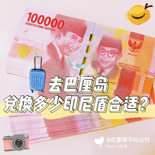 去巴厘岛十天要换多少印尼盾？(巴厘岛的士收费)
