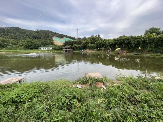 中山可以玩水钓鱼的地方?(肇庆西江路水厂收费)-图1 中山可以玩水钓鱼的地方?(肇庆西江路水厂收费)-图1