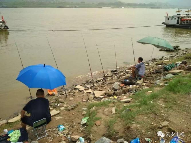 中山可以玩水钓鱼的地方?(肇庆西江路水厂收费)-图2 中山可以玩水钓鱼的地方?(肇庆西江路水厂收费)-图2