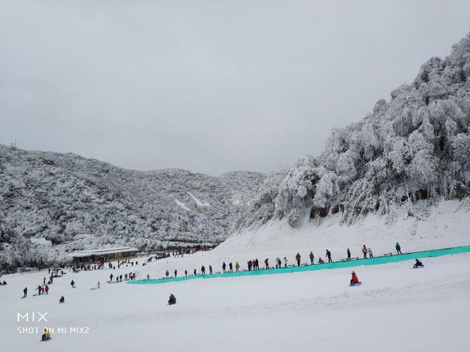 金佛山冬季自驾游北坡好还是西坡好?(金佛山滑雪北坡收费)-图1 金佛山冬季自驾游北坡好还是西坡好?(金佛山滑雪北坡收费)-图1