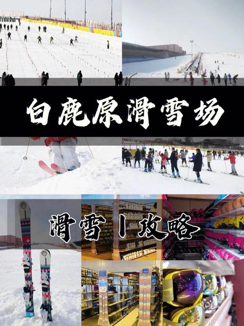 白鹿原滑雪道多少米?(西安白鹿原滑雪场收费情况)-图3 白鹿原滑雪道多少米?(西安白鹿原滑雪场收费情况)-图3