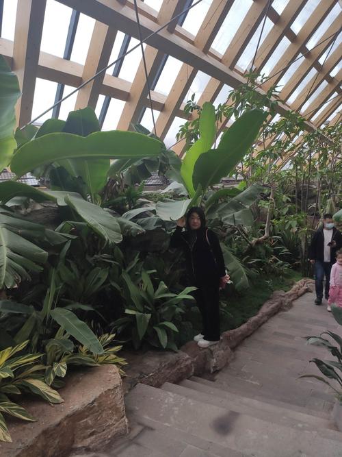 知道天津热带植物园的门票吗？(天津热带植物园停车场收费吗)