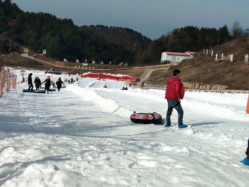 曾家山滑雪场可以带宠物吗?(曾家山滑雪场怎么收费)-图2 曾家山滑雪场可以带宠物吗?(曾家山滑雪场怎么收费)-图2
