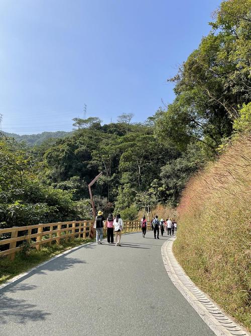 深圳好玩的地方:带你玩转深圳20个免费好玩景点？(羊台山公园收费吗)