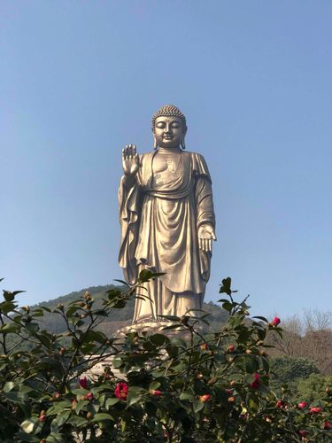 请问下灵山大佛可以买学生票吗?(灵山大佛儿童怎么收费)-图2 请问下灵山大佛可以买学生票吗?(灵山大佛儿童怎么收费)-图2