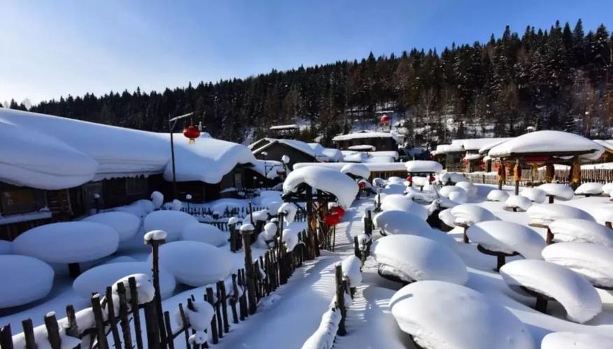 雪村过年旅游多少钱？(漠河旅游景点收费标准)