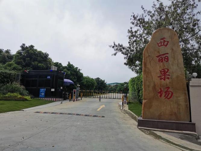 深圳周边哪里有荔枝园？(深圳荔枝世界怎么收费)
