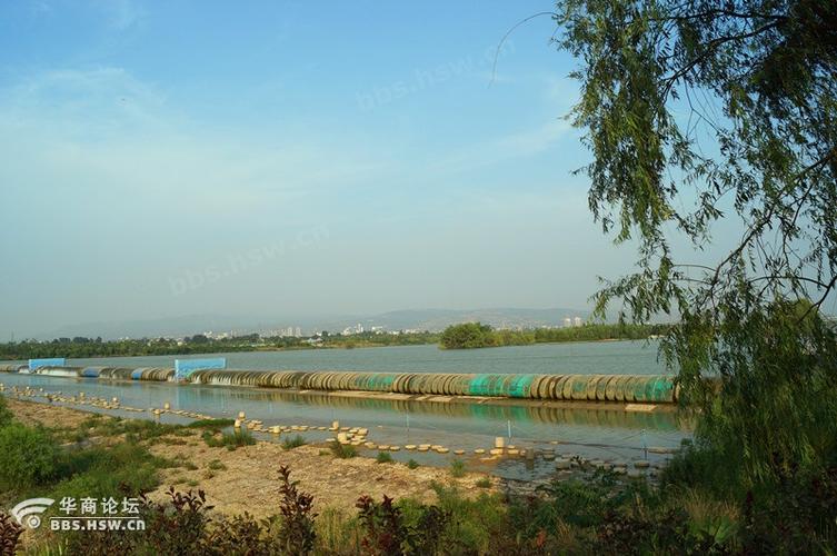 灞桥湿地公园开放最新通知？(西安灞桥生态湿地公园收费吗)