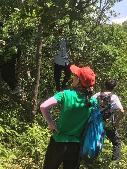 马峦山摘杨梅车停到哪里?(玫瑰海岸停车收费)-图2 马峦山摘杨梅车停到哪里?(玫瑰海岸停车收费)-图2