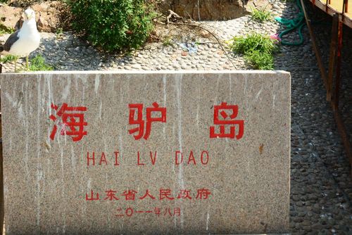 海驴岛儿童用买票吗?(海驴岛儿童收费吗)-图2 海驴岛儿童用买票吗?(海驴岛儿童收费吗)-图2