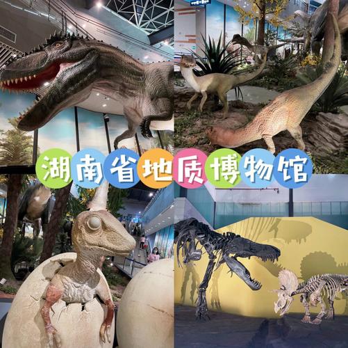 长沙哪里有免费的恐龙公园?(长沙博物馆 恐龙展收费)-图2 长沙哪里有免费的恐龙公园?(长沙博物馆 恐龙展收费)-图2