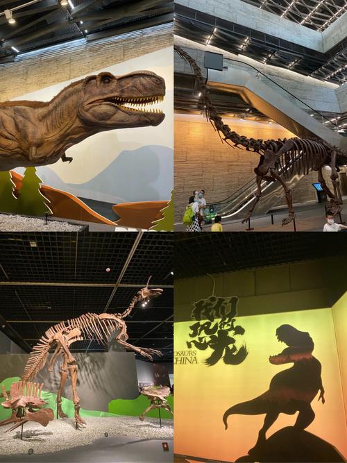 长沙哪里有免费的恐龙公园?(长沙博物馆 恐龙展收费)-图3 长沙哪里有免费的恐龙公园?(长沙博物馆 恐龙展收费)-图3