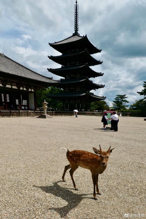 日本奈良公园的日语介绍?(奈良兴福寺收费吗)-图3 日本奈良公园的日语介绍?(奈良兴福寺收费吗)-图3