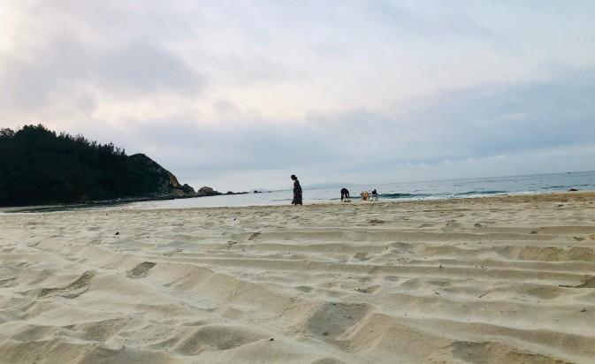 惠州碧海湾什么时间去赶海合适?(大亚湾碧海湾收费吗)-图1 惠州碧海湾什么时间去赶海合适?(大亚湾碧海湾收费吗)-图1