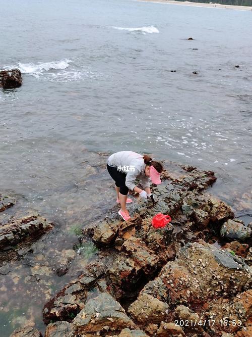 惠州碧海湾什么时间去赶海合适?(大亚湾碧海湾收费吗)-图2 惠州碧海湾什么时间去赶海合适?(大亚湾碧海湾收费吗)-图2