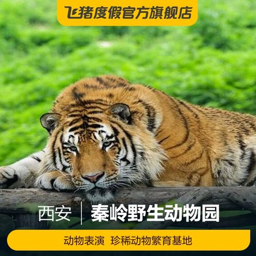 秦岭野生动物园票都包含什么？(西安秦岭动物园收费)