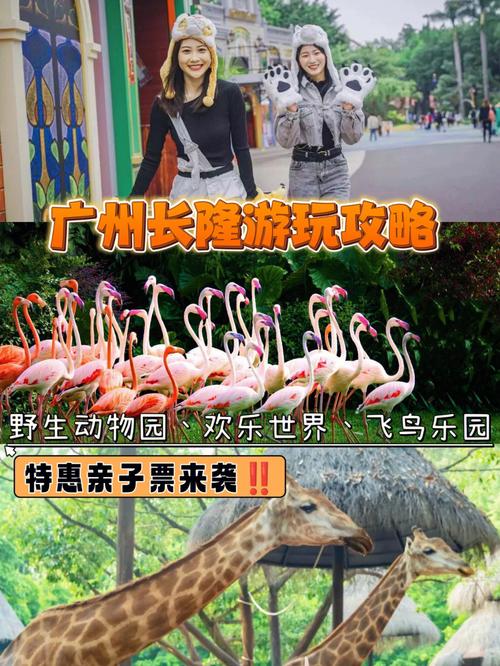 广州本地人去长隆怎么玩?(周末去广州长隆怎么收费吗)-图3 广州本地人去长隆怎么玩?(周末去广州长隆怎么收费吗)-图3