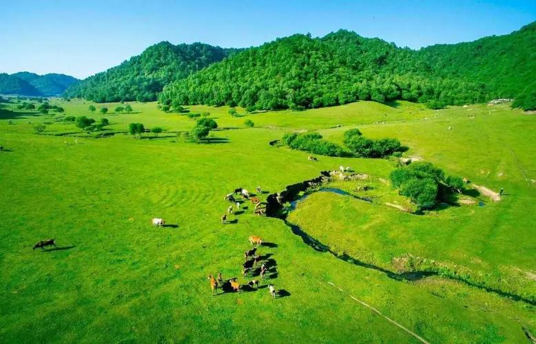 关山牧场是自然景区还是人工景区?(张川去关山草原收费吗)-图3 关山牧场是自然景区还是人工景区?(张川去关山草原收费吗)-图3