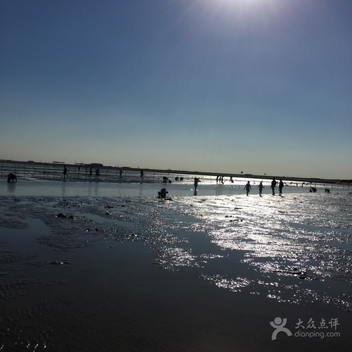 天津方特周边哪里可以赶海？(诺恩渔业生态园收费吗)