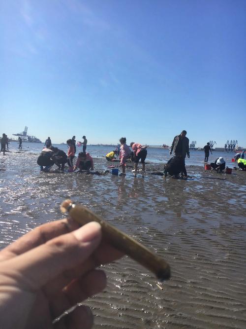 天津方特周边哪里可以赶海？(诺恩渔业生态园收费吗)-图3