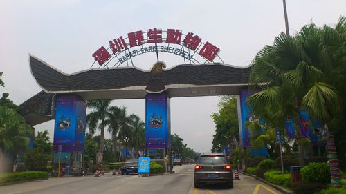 西丽动物园2023门票有优惠吗?(西丽动物园收费)-图1 西丽动物园2023门票有优惠吗?(西丽动物园收费)-图1