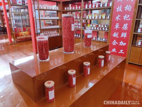 工业旅游基地排名？(中国枸杞馆收费吗)