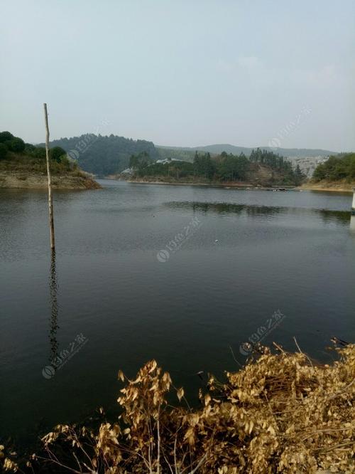 汉石桥水库可以钓鱼吗？(汉石桥湿地收费吗)