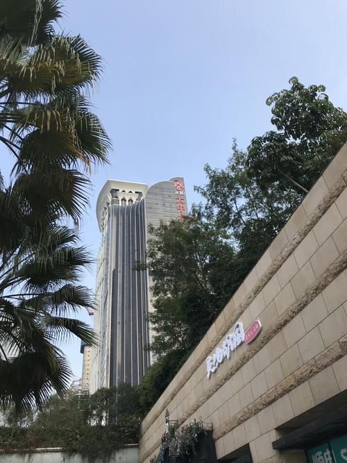 福田顶级酒店排名?(深圳大中华喜来登酒店停车场收费)-图3 福田顶级酒店排名?(深圳大中华喜来登酒店停车场收费)-图3