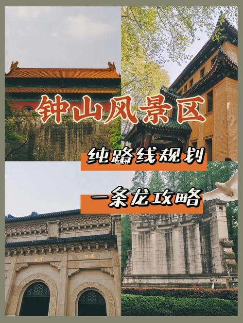 南京钟山风景区门票和联票的区别?(钟山风景区小火车收费)-图1 南京钟山风景区门票和联票的区别?(钟山风景区小火车收费)-图1