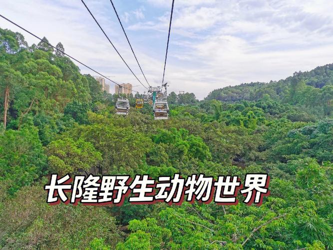 长隆动物园缆车票价?(长隆野生动物世界自驾区收费)-图3 长隆动物园缆车票价?(长隆野生动物世界自驾区收费)-图3