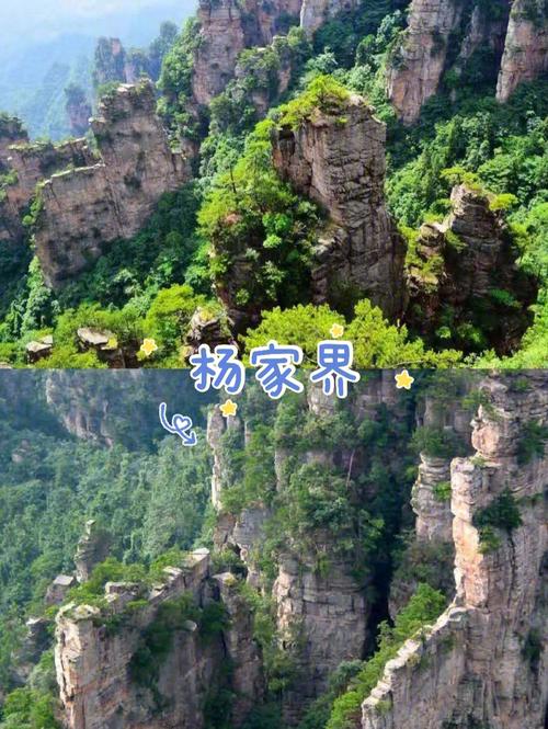 张家界森林公园65岁以上免门票吗?(张家界旅游65岁以上收费吗)-图3 张家界森林公园65岁以上免门票吗?(张家界旅游65岁以上收费吗)-图3