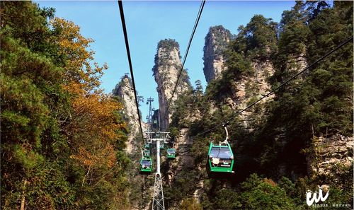 张家界武陵源227元的门票包括一些什么?(张家界旅游收费项目)-图2 张家界武陵源227元的门票包括一些什么?(张家界旅游收费项目)-图2