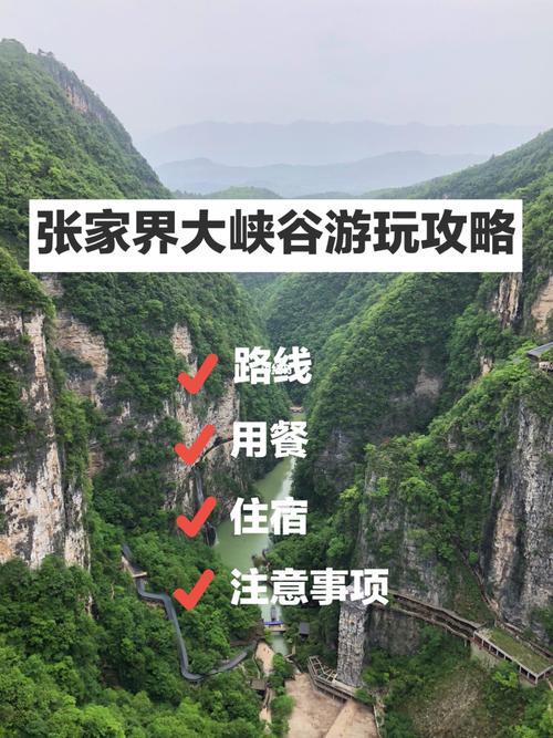 张家界大峡谷门票包含哪些？(张家界大峡谷景区内的车收费)